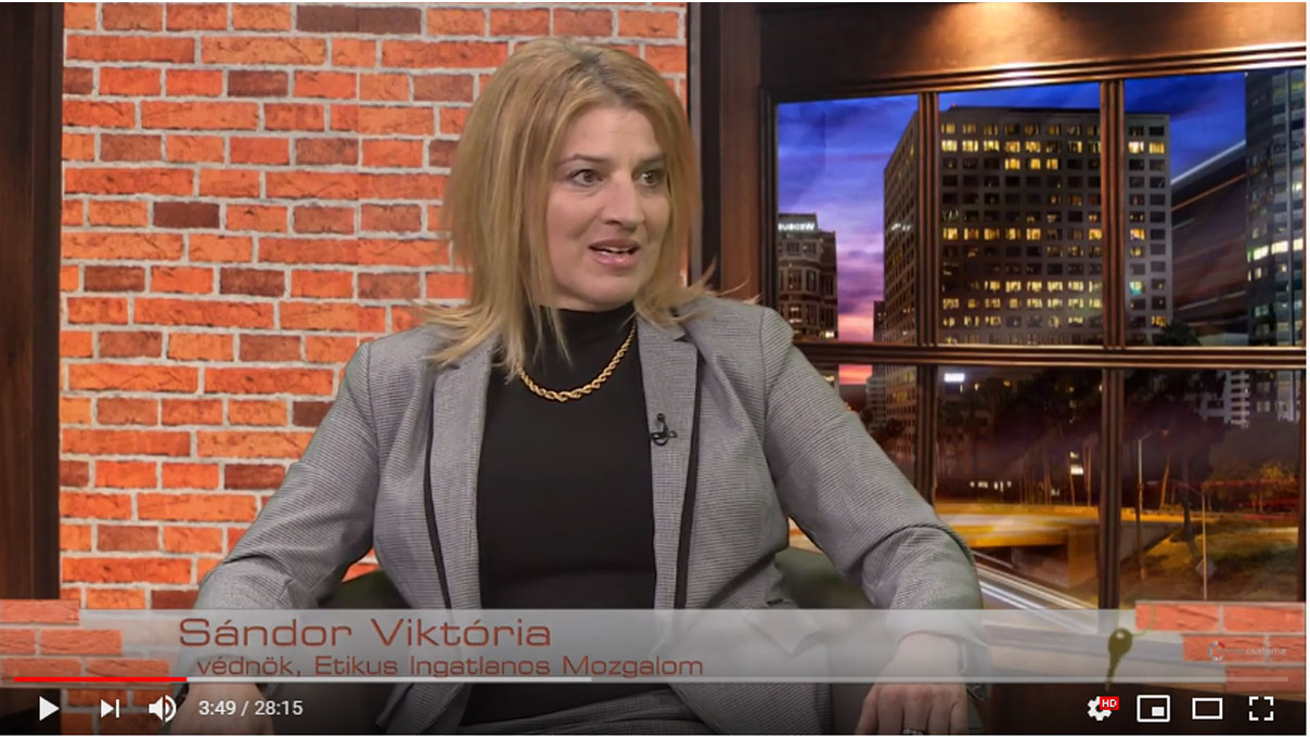 You are currently viewing Sándor Viktória a hatoscsatorna Lakásvásár című adásában!